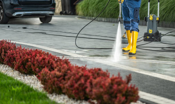 Best Building Exterior Washing  in Eastwood, LA